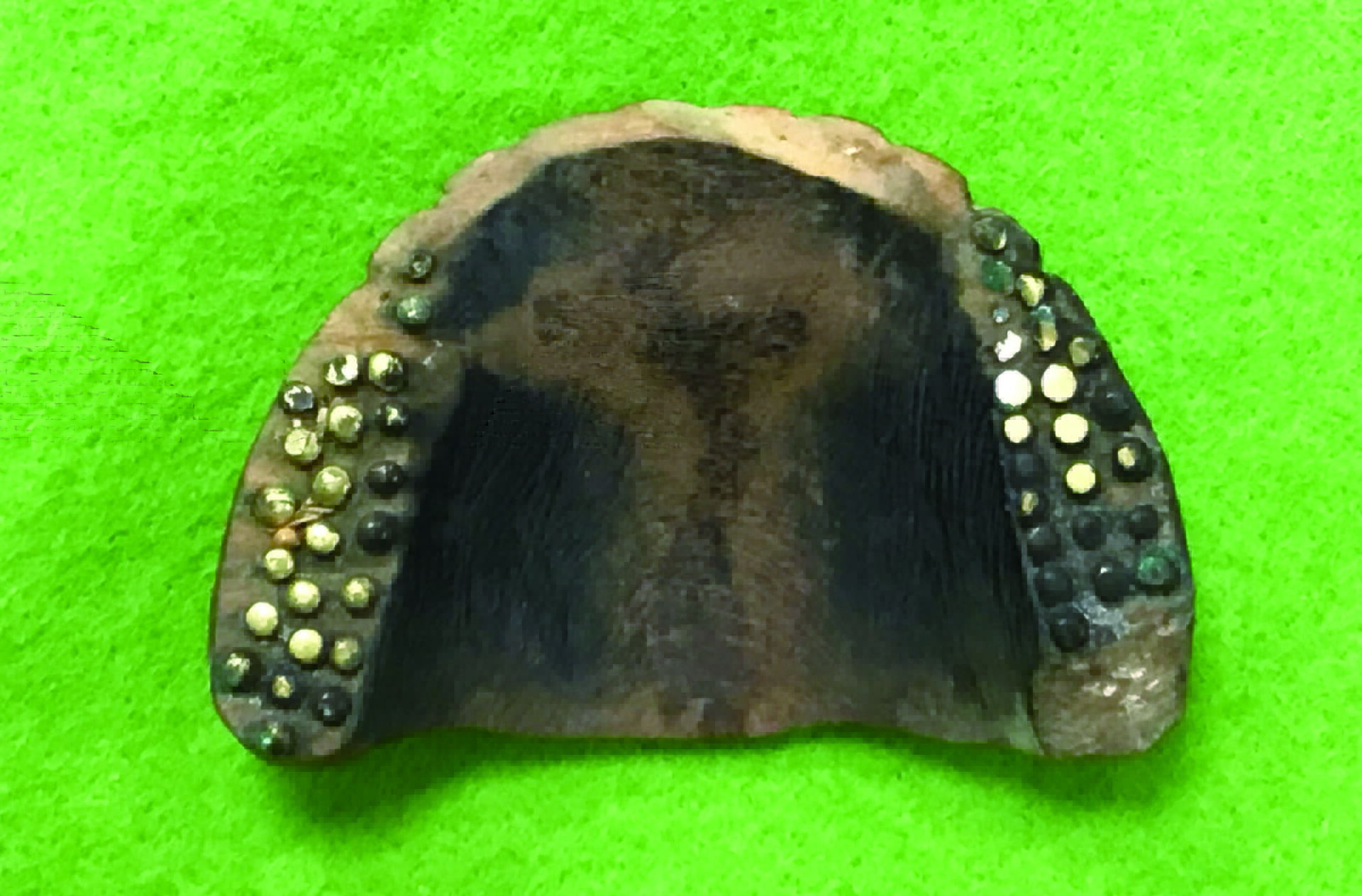 図２b　江戸時代の木製義歯咬合面