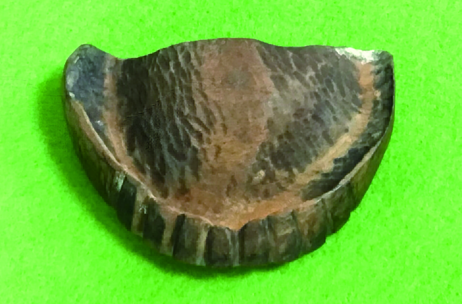 図２a　江戸時代の木製義歯
